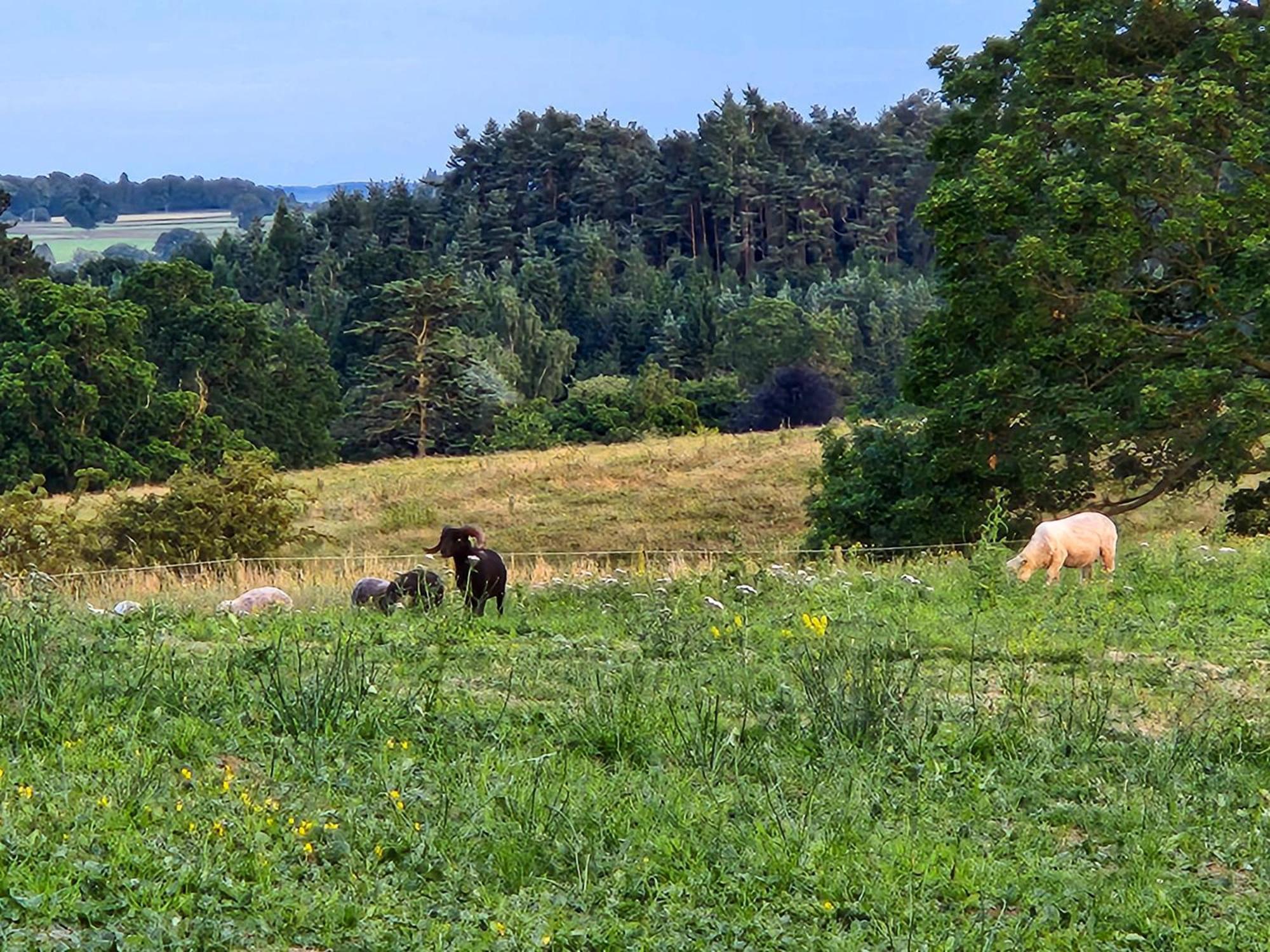 Mickledale & Langriggs At Wetheral Cottages Great Salkeld ภายนอก รูปภาพ